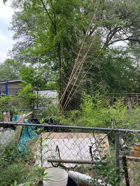 Before a Connect Longview workday